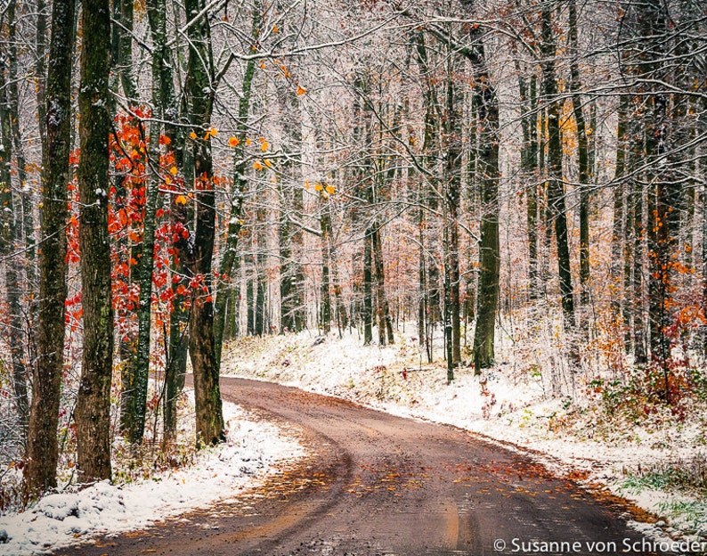 Nature Photography, Winter Road, First Snow, Fine Art Print, Winter Forest, Trees, Brown White, Journey, Wisconsin, Cabin Home Decor image 2