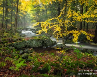 Nature Photography, Magical Woodland Scene, Autumn, Creek, Fine Art Print, Enchanted Forest, Green Yellow, Fairy Land, Cabin Home Decor