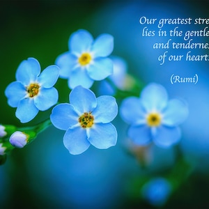 Rumi Quote, Inspirational Poetry, Greeting Card, Blue Forget-me-not, Flower Photo, Valentine&#39;s Day, Heart, Healing Art, Nature Photography