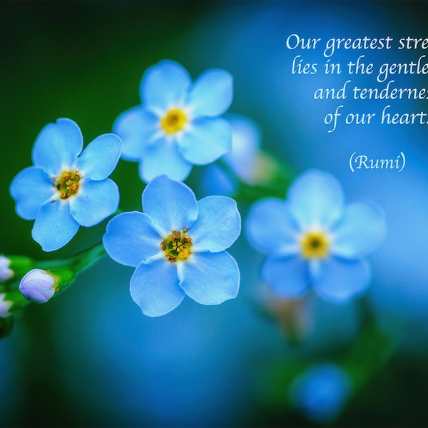 Rumi Quote, Inspirational Poetry, Greeting Card, Blue Forget-me-not, Flower Photo, Valentine's Day, Heart, Healing Art, Nature Photography