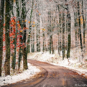 Nature Photography, Winter Road, First Snow, Fine Art Print, Winter Forest, Trees, Brown White, Journey, Wisconsin, Cabin Home Decor image 1