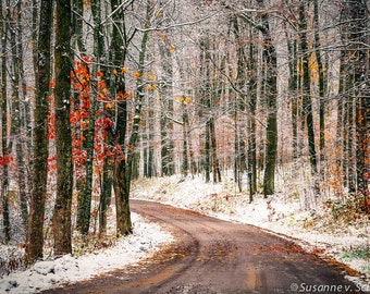 Nature Photography, Winter Road, First Snow, Fine Art Print, Winter Forest, Trees, Brown White, Journey, Wisconsin, Cabin Home Decor