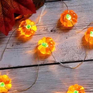 Fall Thanksgiving Party Decor String Lights garland, 7ft Halloween Thanksgiving or Fall String Lights Halloween party decor theme