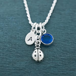 Sterling Silver Ladybug Necklace: Personalized Initial & Birthstone Charm