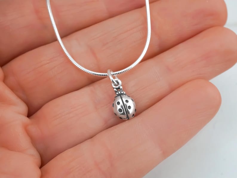 Puede incluir: Un collar de tono plateado con un peque&ntilde;o dije de mariquita en tres dimensiones. El colgante tiene un acabado met&aacute;lico pulido con puntos negros grabados en el dorso y est&aacute; suspendido de una cadena fina, redonda y flexible de tono plateado.