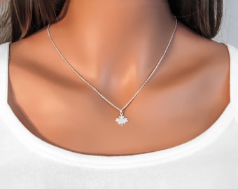 NATURE | OCEAN | SUMMER