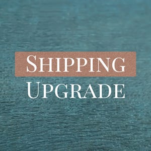 Puede incluir: Un fondo turquesa con una pancarta rectangular marrón que dice "SHIPPING UPGRADE" en texto blanco. La imagen es un gráfico simple, probablemente para un listado de comercio electrónico.