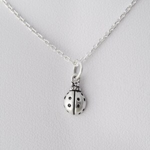Puede incluir: Un collar de tono plateado con un peque&ntilde;o dije de mariquita en tres dimensiones. El dije de mariquita tiene un cuerpo liso y redondeado con puntos negros grabados y una cabeza detallada, suspendido de una cadena fina de tono plateado.