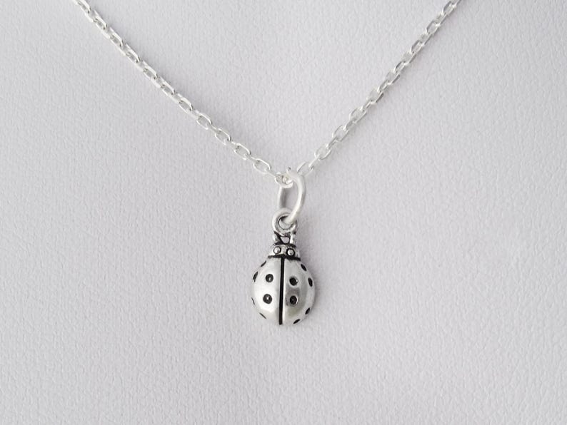 Puede incluir: Un collar de tono plateado con un peque&ntilde;o dije de mariquita en tres dimensiones. El dije de mariquita tiene un cuerpo liso y redondeado con puntos negros grabados y una cabeza detallada, suspendido de una cadena fina de tono plateado.
