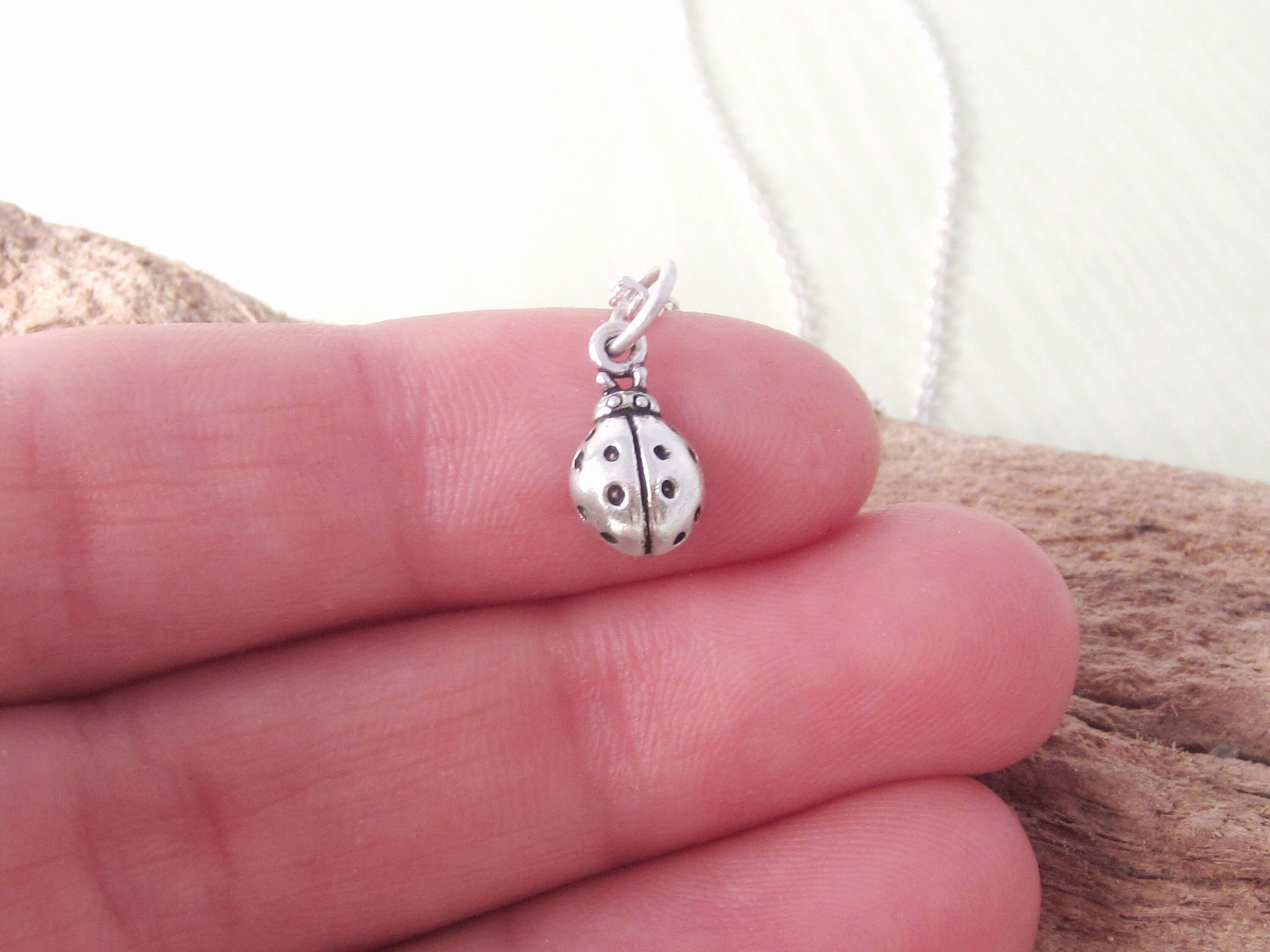 Sterling silver ladybug best sale charm