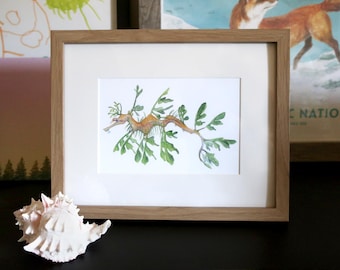 Leafy Seadragon - 5 x 7" Print