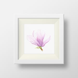 Magnolia Knospe - 5 x 5 Druck