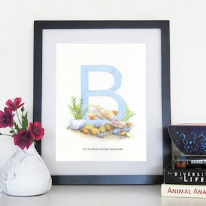 Barton Springs Salamander - 8 x 10 Print