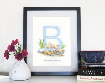 Barton Springs Salamander - 8 x 10 Druck