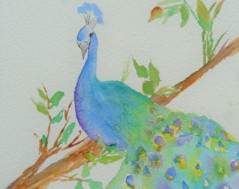 ORIGINAL WATERCOLOR -  11" X 14"  -  Matted and ready for Frame -  Peacock