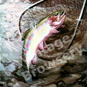 Golden Trout Print being landed in net