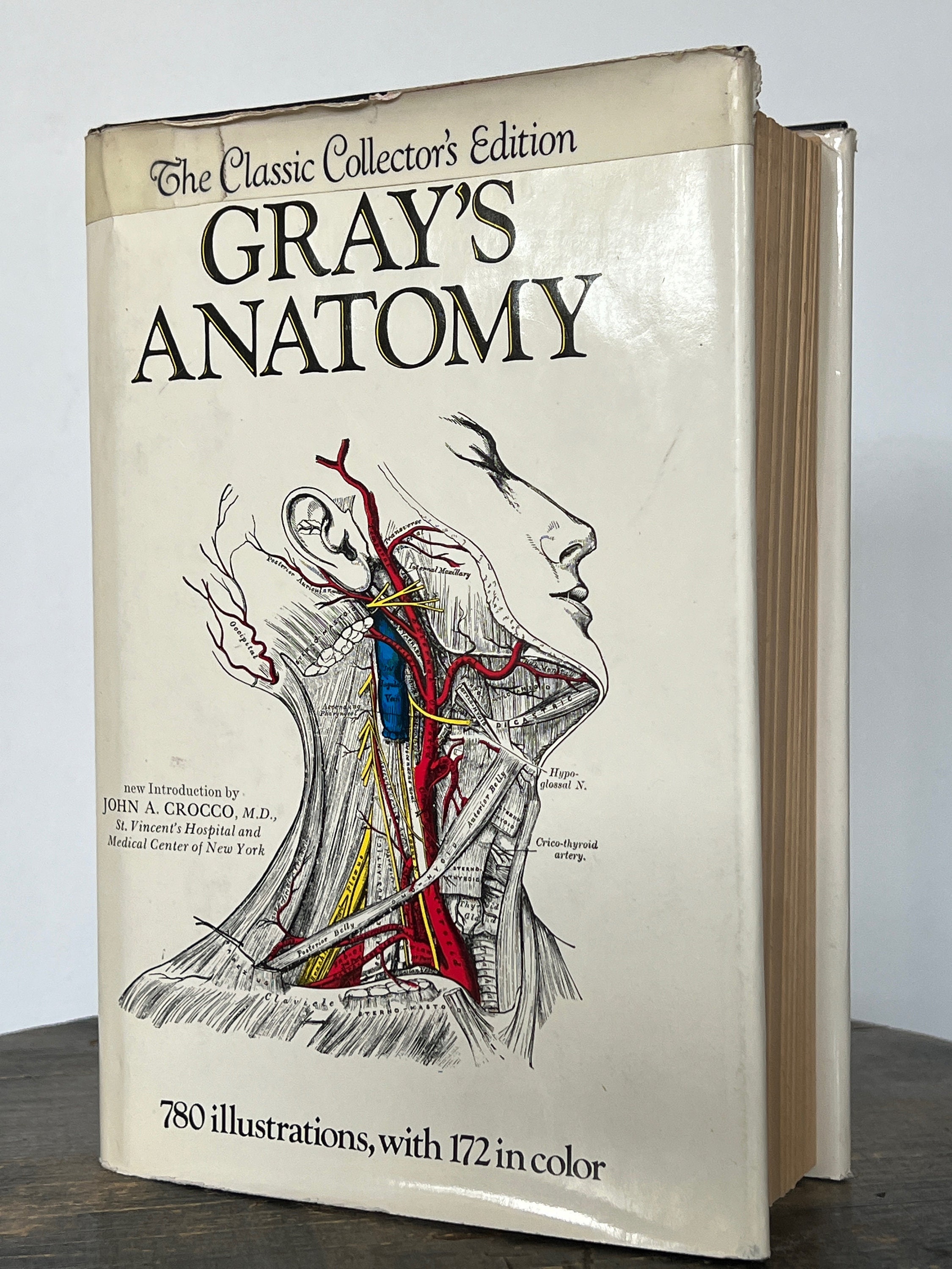 vintage medical book, Anatomy of The Human Body, Gray's Anatomy, by