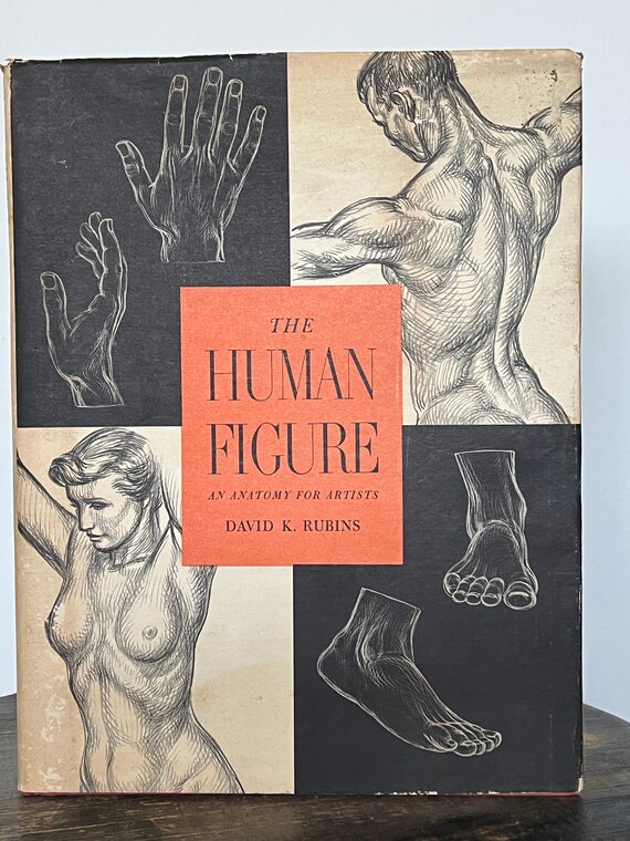 the human figure by david rubins