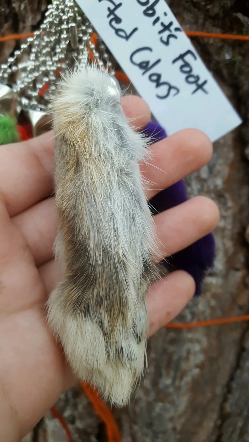 Real Rabbit's Foot Keychain Etsy