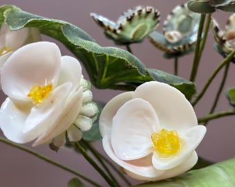 Flores de concha en jarrón de vidrio con vidrio marino genuino ~ Mi jardín es el océano