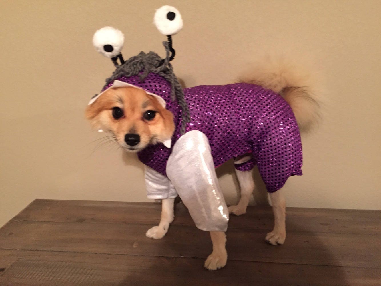 Sold Out 2019 Boo Monsters Inc Dog Costume