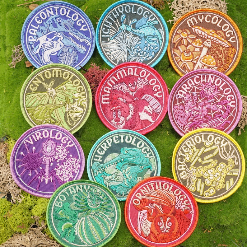 Arachnology Patch: Tarantula, Orb Weaver, Scorpion Embroidery (3.5" Diameter) image 4