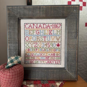 May include: A framed cross-stitch sampler with the text "CANADA 1867" and other letters and numbers in various colors. The frame is a weathered gray wood. An apple-shaped fabric decoration and a small quilted coaster are in the foreground.