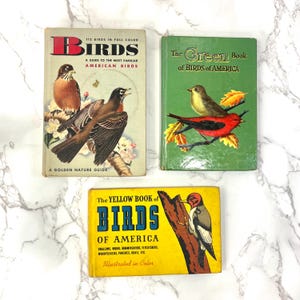 Vintage Collection of Bird Reference Books from 1930s 1940s | Yellow Book of Birds | Golden Nature Guide | Green Book of Birds | Birder Gift