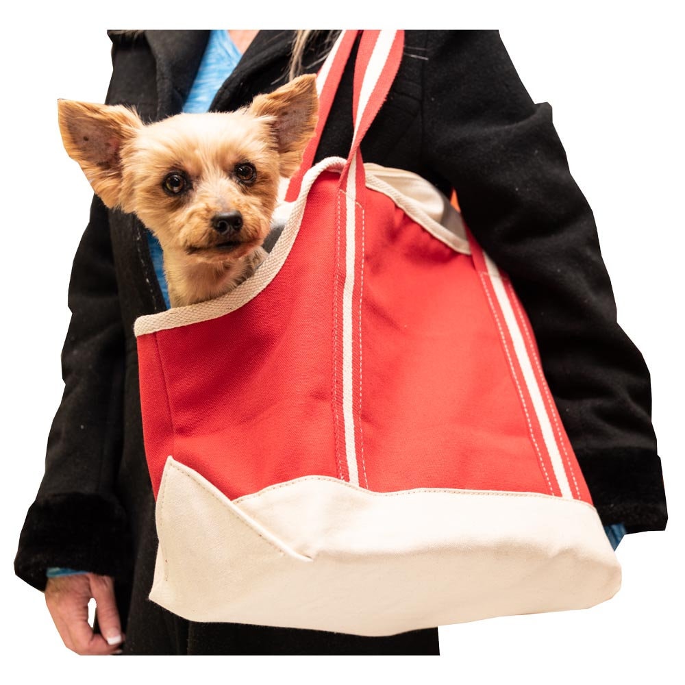 personalized dog carrier