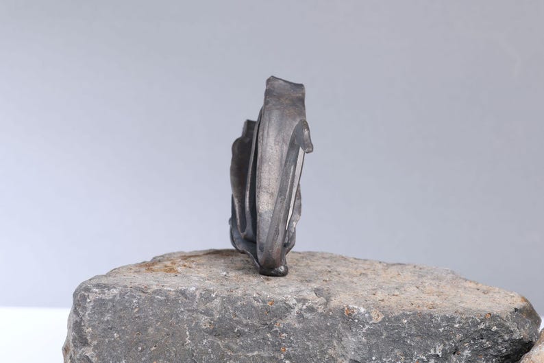 Hand-Forged Iron Swan Sculpture: Rustic Blacksmith Decor