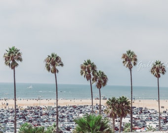 Santa Monica Pier Beach Palm Trees #2 California Beach Fine Art Travel Photograph Print LA Photography, Unframed Wall Art