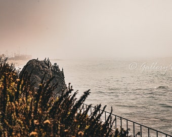 California Coast #3 Malibu Fine Art Travel Birds Photograph Print LA Photography, Unframed Wall Art