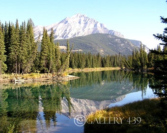 Banff "Reflection" Photography Home Decor - Canadian Rockies Mountain Stream Nature Canada Fine Art Portrait Photo