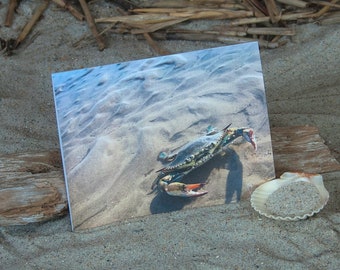 Blue Crab Note Card | Coastal NoteCard | Coastal Stationery | Atlantic Blue Crab | Photo NoteCard | Lisa Vohwinkel Photography | Crab Card