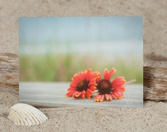 Coastal Note Card | Beach Flower Note Card | Coastal Stationery | Greeting Card | Floral NoteCard | Lisa Vohwinkel Photography | Beach Photo