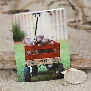 Valentijnskaart | Puppy Love Note Card | Silver Lab-fotokaart | Lisa Vohwinkel Fotografie | Briefpapier | Wenskaart | Labrador Puppies