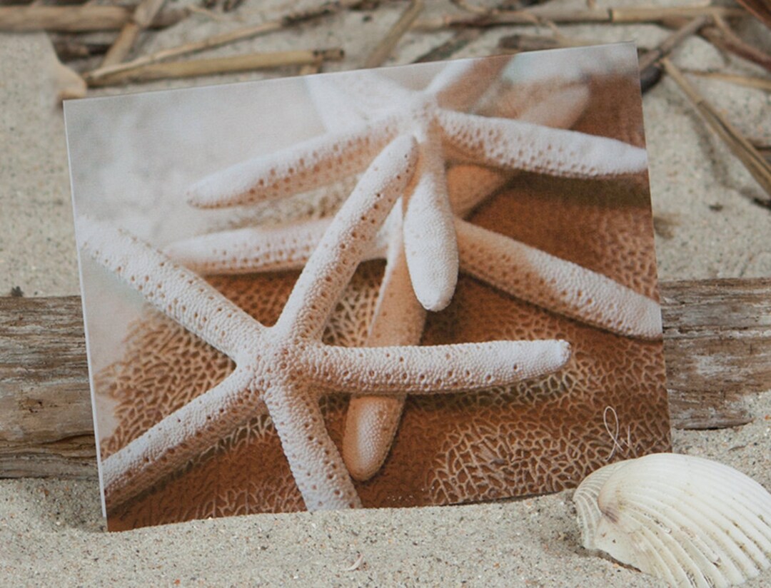Starfish Photo Note Card,beach Greeting Card,stationery,nautical Note ...