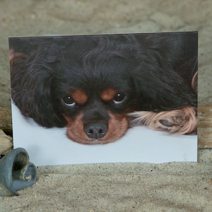 Rei Charles Cavalier Spaniel | Cartão de nota do amor de filhote de cachorro | Preto & cartão de nota Cavalier da foto de Tan | Lisa Vohwinkel Fotografia | Artigos de papelaria | cartão