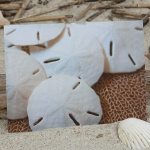 Carte de billets en dollars de sable | Carte de voeux de plage | Carte de notes côtières | Papeterie côtière | Carte de note de photo | Lisa Vohwinkel Photographie