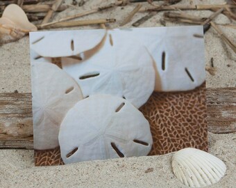 Sand Dollar NoteCard | Beach Greeting Card | Coastal Note Card | Coastal Stationery | Photo Note Card  | Lisa Vohwinkel Photography