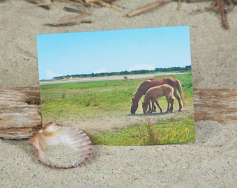 Coastal Wild Horses Note Card | Horses on Beach Greeting Card | Lisa Vohwinkel Photography | Beach Photo | Stationery | Coastal Mustangs OBX