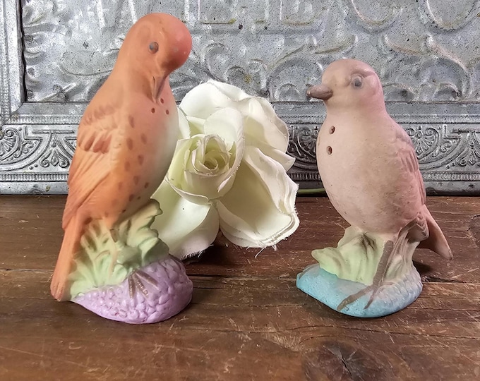 1950s  Bisque China Dove Salt and Pepper Shakers | Retro Kitschy Kitchen