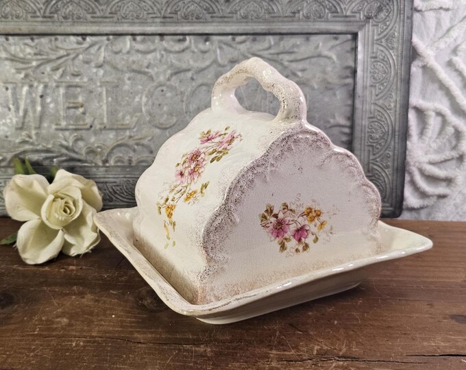 Large Antique Ludwig Wessel Imperial Bonn China Floral Cheese Dome/Plate Set | 1755 Mark