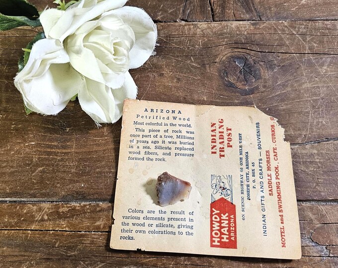 1950s Petrified Wood Route 66 Souvenir from Howdy Hank’s Trading Post