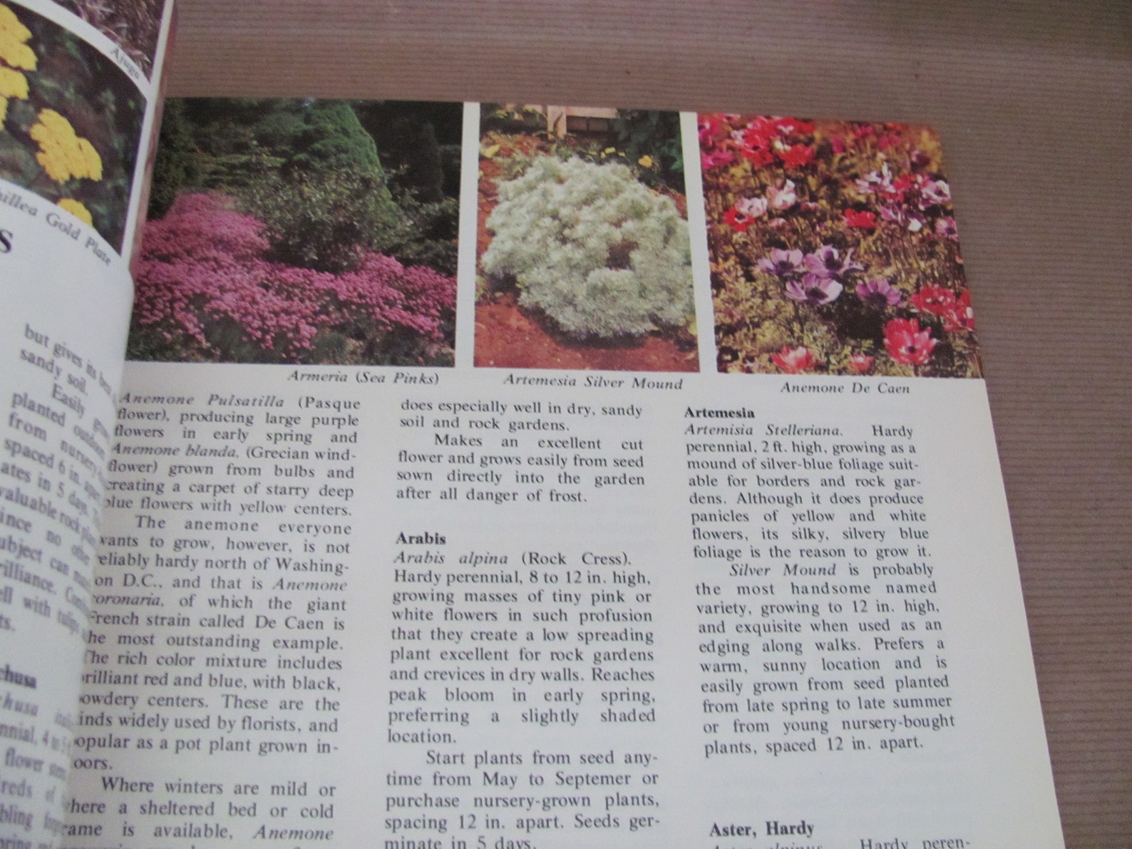 Vintage Gardening Books 1970's Current Vegetable Garden - Etsy
