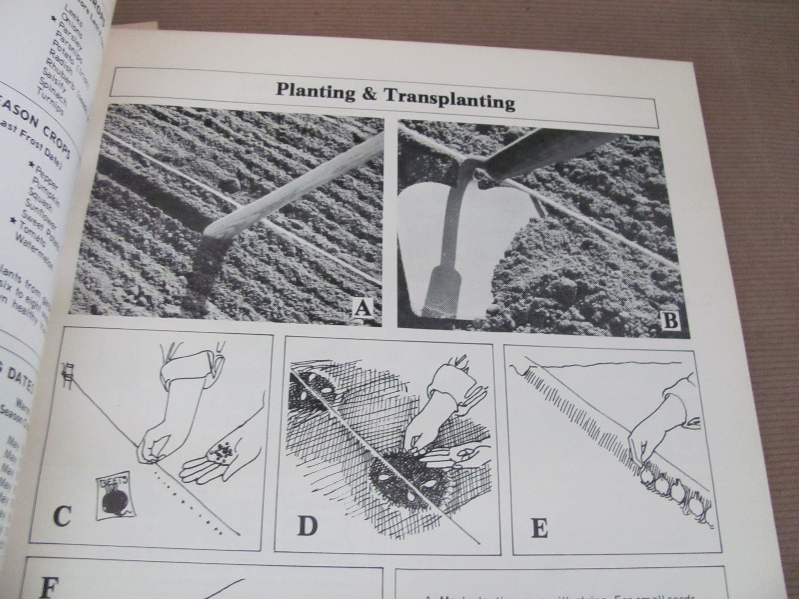 Vintage Gardening Books 1970's Current Vegetable Garden - Etsy