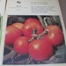Vintage Gardening Books, 1970's Current Vegetable Garden, Flower Garden ...