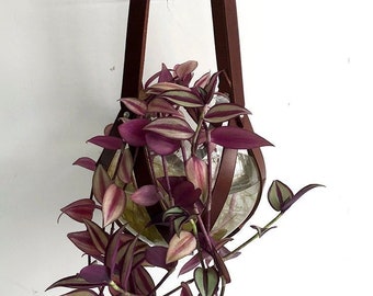 Plant hanger leather, ceiling planter, leather geometric hanging planter, vegetable tanned leather cognac including glass bowl