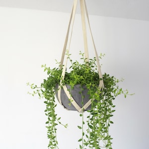 Può includere: Una fioriera sospesa con un vaso grigio e piante verdi pendenti. Il vaso è sospeso da cinghie color crema attaccate a un anello di metallo. Le foglie della pianta cadono a cascata, creando un'esposizione visivamente accattivante.