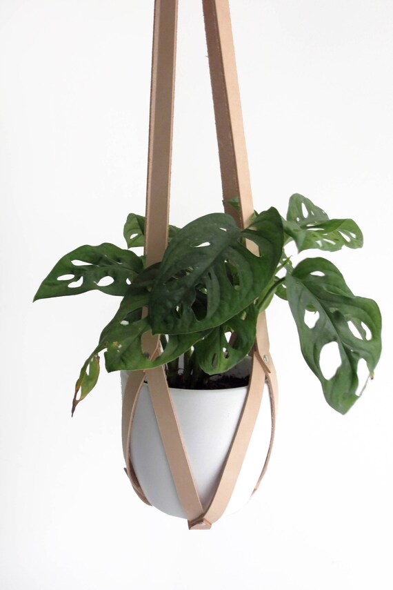 Indoor Hanging Planter Plant Hanger Leather Minimal Ceiling Planter Vegetable Tanned Natural Leather Including White Plastic Pot